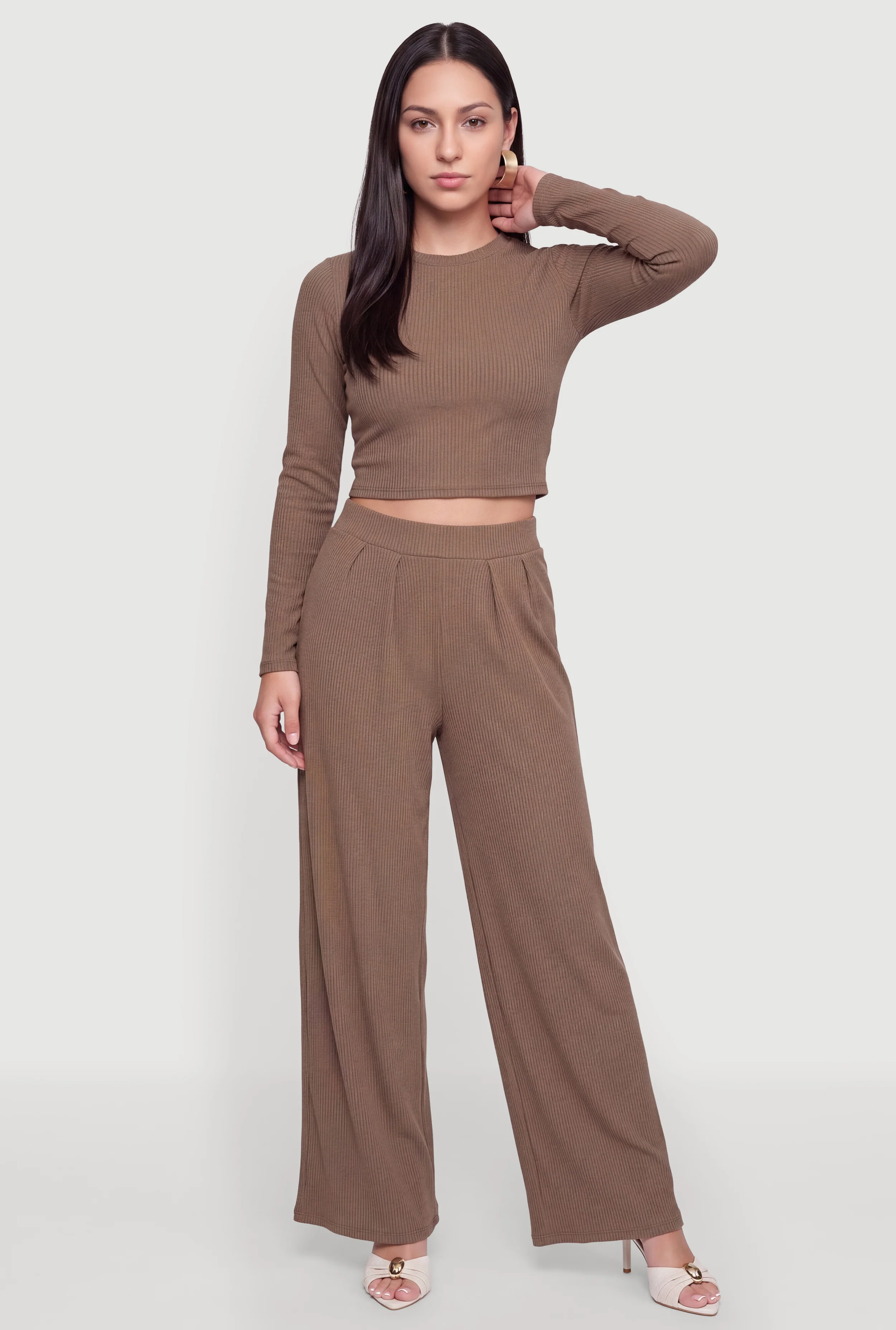 Brushed Ribbed Knit Pleated Wide Leg Pants