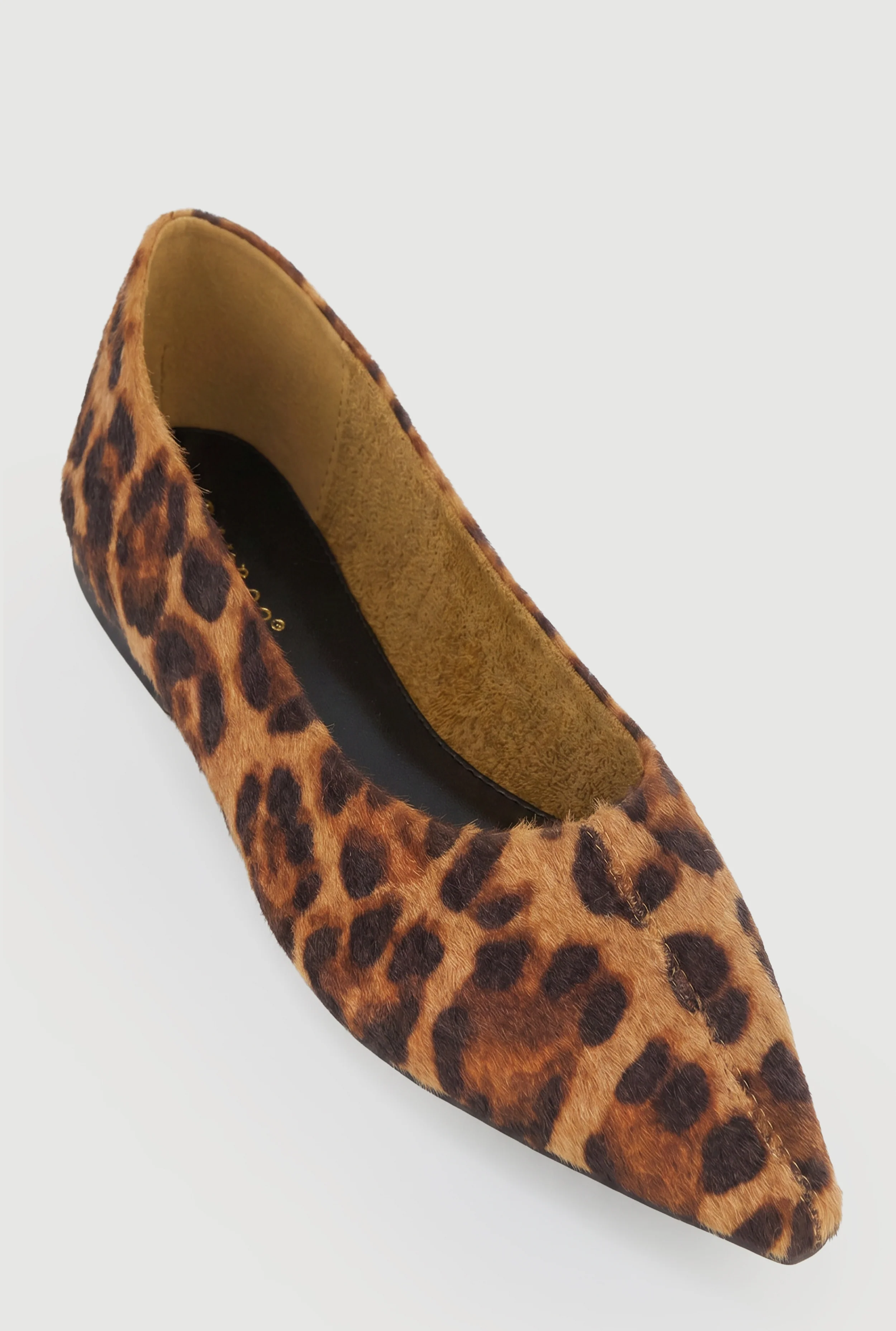 Pointed Toe Flats