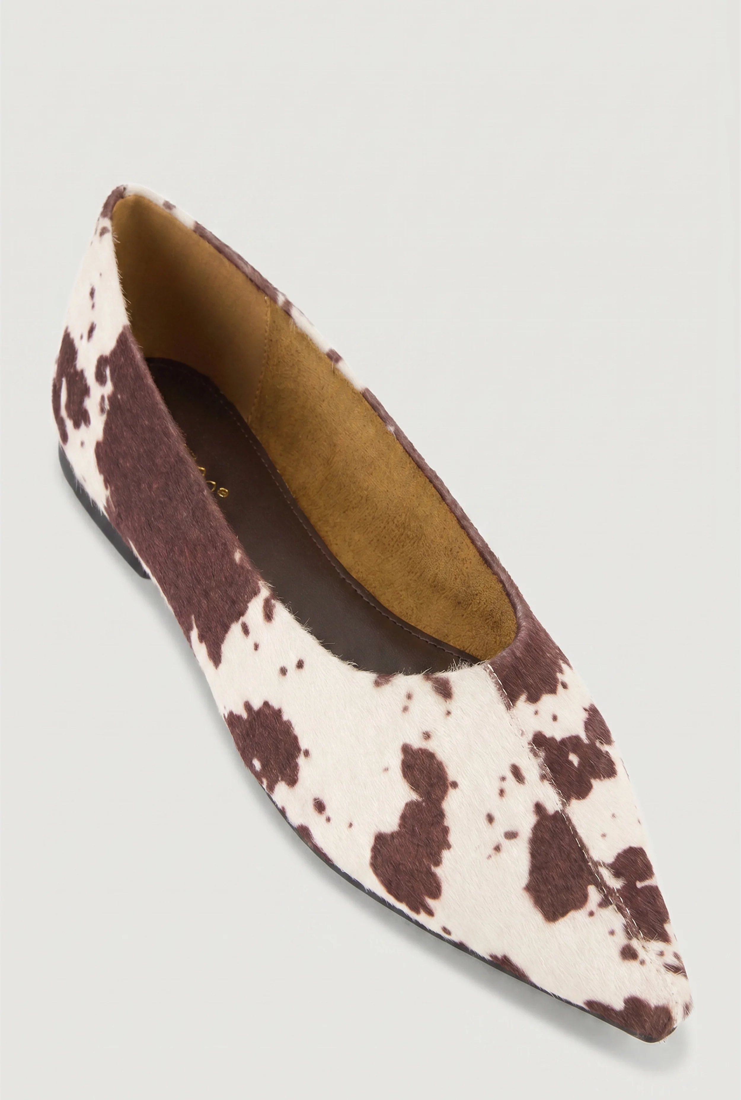 Pointed Toe Flats